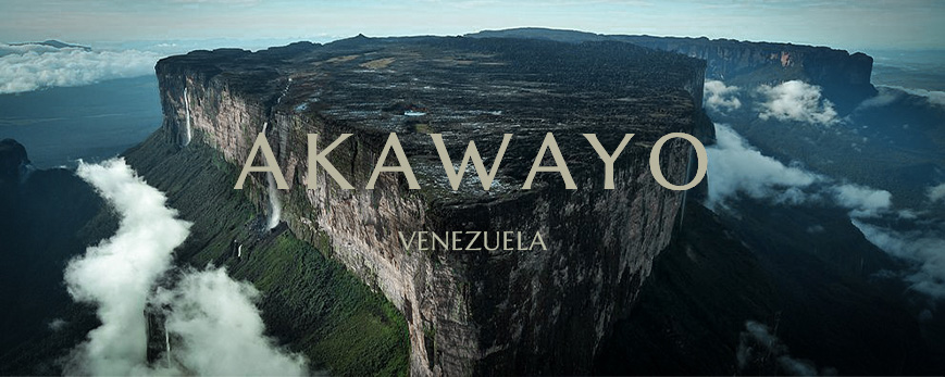 akawayo_thumbnail_2