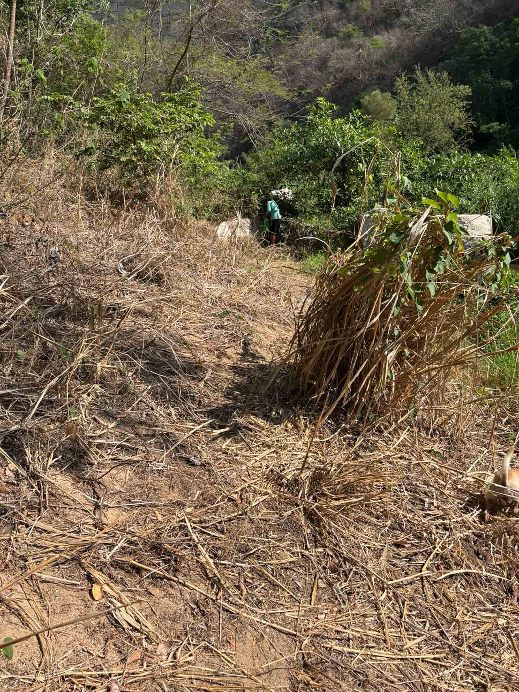 nahua expeditions conservation stills trash cleanup-727