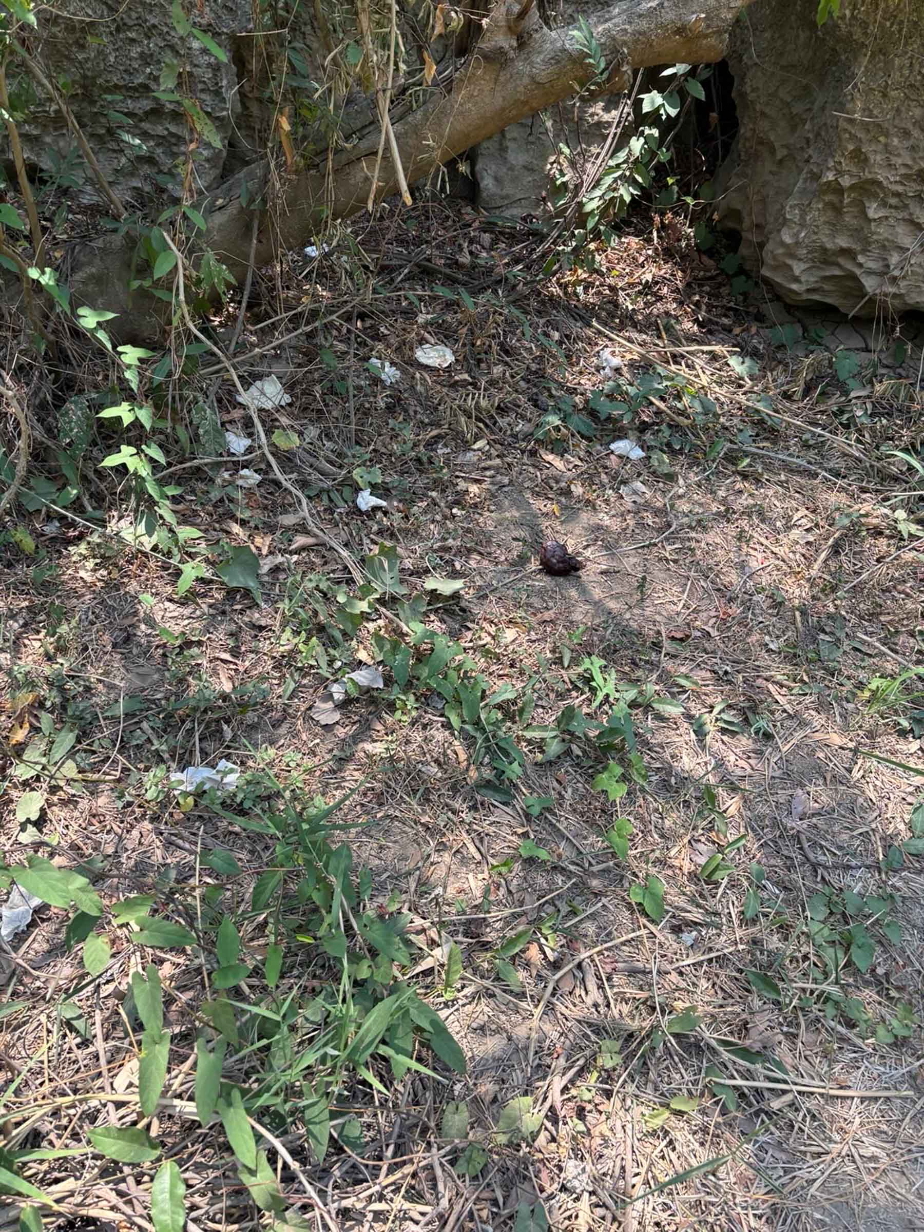 nahua expeditions conservation stills trash cleanup-736