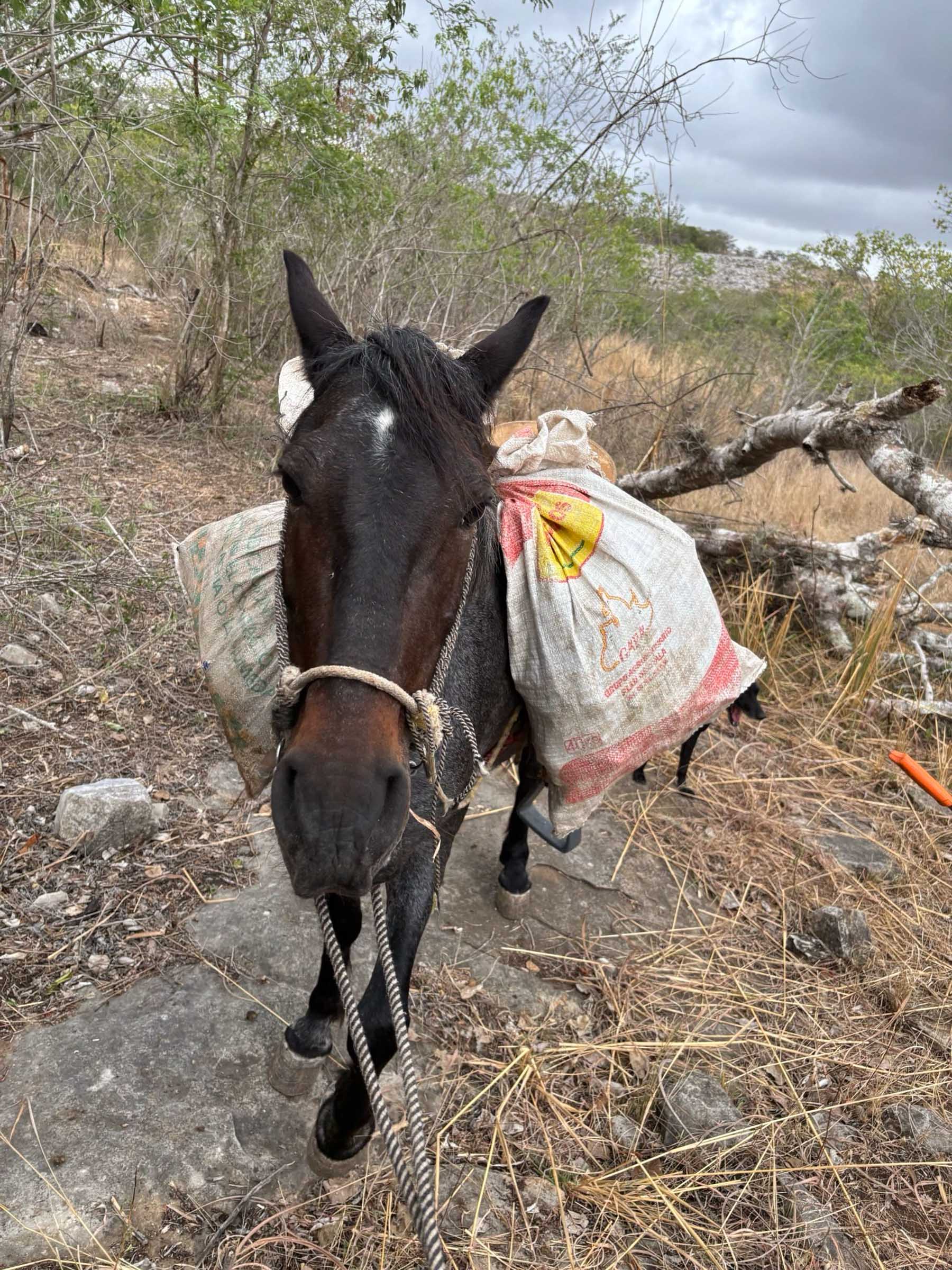 nahua expeditions conservation stills trash cleanup-741